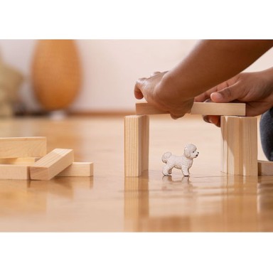 Schleich-S Παιχνίδι Μινιατούρα Bichon Frise για 3-8 Ετών 5εκ.