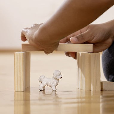 Schleich-S Παιχνίδι Μινιατούρα Bichon Frise για 3-8 Ετών 5εκ.