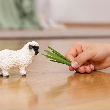 Schleich-S Παιχνίδι Μινιατούρα Valais Blacknose Sheep για 3-8 Ετών 7.3εκ.