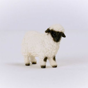 Schleich-S Παιχνίδι Μινιατούρα Valais Blacknose Sheep για 3-8 Ετών 7.3εκ.