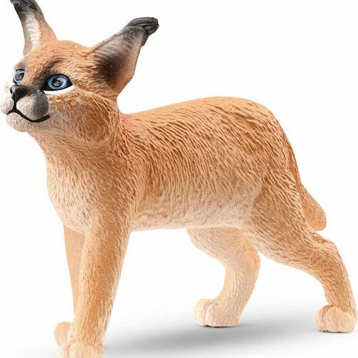 Schleich-S Παιχνίδι Μινιατούρα Caracal Baby για 3-8 Ετών 5.3εκ.