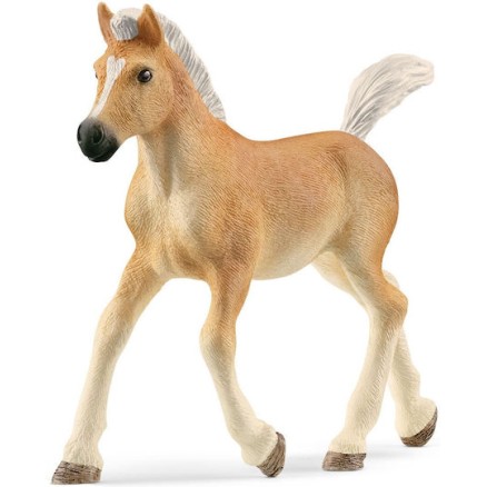Schleich-S Παιχνίδι Μινιατούρα Haflinger Foal για 5-12 Ετών 9εκ.
