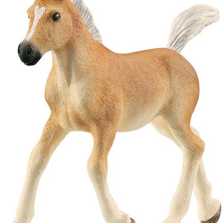 Schleich-S Παιχνίδι Μινιατούρα Haflinger Foal για 5-12 Ετών 9εκ.