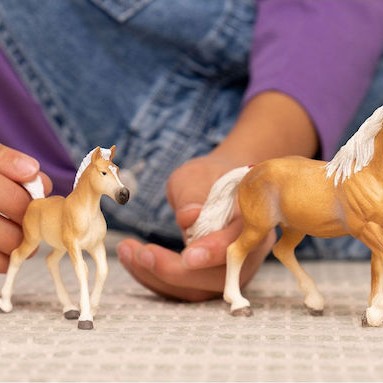Schleich-S Παιχνίδι Μινιατούρα Haflinger Foal για 5-12 Ετών 9εκ.