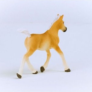 Schleich-S Παιχνίδι Μινιατούρα Haflinger Foal για 5-12 Ετών 9εκ.
