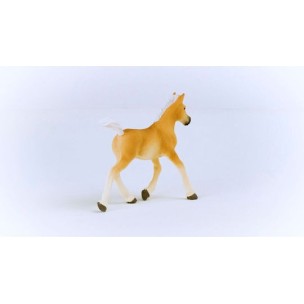 Schleich-S Παιχνίδι Μινιατούρα Haflinger Foal για 5-12 Ετών 9εκ.