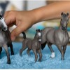 Schleich-S Παιχνίδι Μινιατούρα Selle Français Stallion για 5-12 Ετών 15εκ.