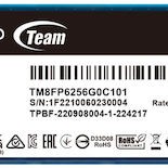 TeamGroup MP33 SSD 256GB M.2 NVMe PCI Express 3.0