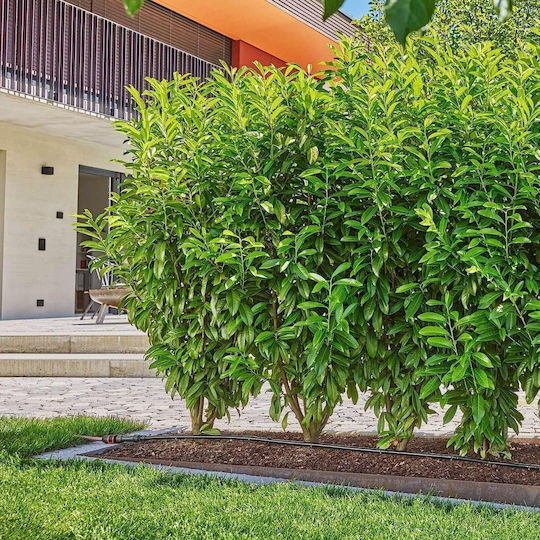 Gardena Micro-Drip System Σύστημα Αυτοποτισμού για Γλάστρες 1τμχ