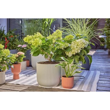 Gardena Σύστημα Αυτόματου Ποτίσματος Σταγόνας 1τμχ