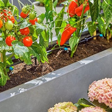 Gardena Σταλάκτης με Ροή Νερού 2lt/h Μαύρο 13317-20