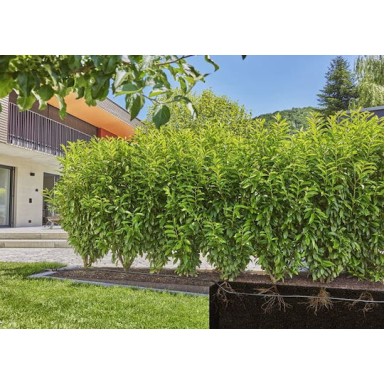 Gardena 13503-20 Σταλακτηφόρος Σωλήνας 25m Με Σταλάκτες