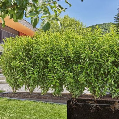 Gardena 13504-20 Σταλακτηφόρος Σωλήνας 50m