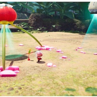 Pikmin 4 Switch Game