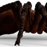 Schleich-S Παιχνίδι Μινιατούρα Aragog για 3+ Ετών