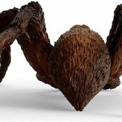 Schleich-S Παιχνίδι Μινιατούρα Aragog για 3+ Ετών