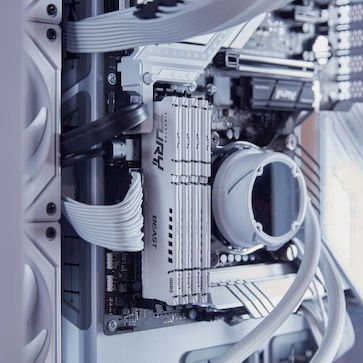 Kingston Fury Beast DDR5 με Module 1x32GB και Ταχύτητα 5600 για Desktop