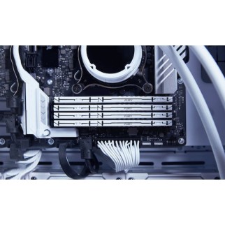 Kingston Fury Beast DDR5 64GB RAM με 2x32GB Modules και Ταχύτητα 5600 για Desktop
