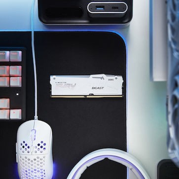 Kingston Fury Beast RGB DDR5 με Module 1x32GB και Ταχύτητα 6000 για Desktop