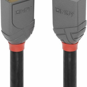 Lindy Cable DisplayPort male - DisplayPort female 1m Μαύρο (36496)