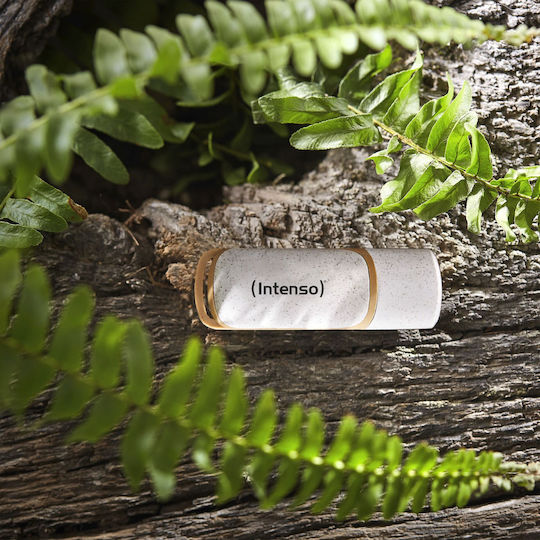 Intenso Green Line 32GB USB 3.2 Stick Καφέ