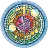 Puzzle Circle of Colors - Candy 2D 500 Κομμάτια