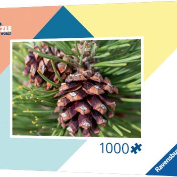 Ravensburger Extension Color Swap Εκπαιδευτικό Παιχνίδι Μηχανικής Gravitrax για 8+ Ετών