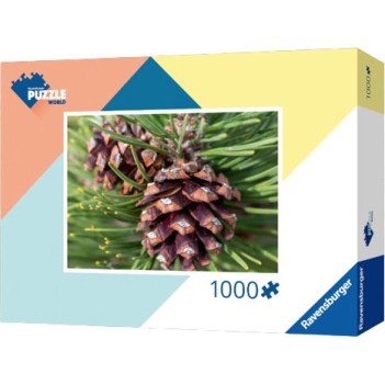 Ravensburger Extension Color Swap Εκπαιδευτικό Παιχνίδι Μηχανικής Gravitrax για 8+ Ετών