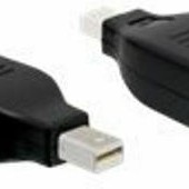 DeLock Μετατροπέας mini DisplayPort male σε DisplayPort female (65238)