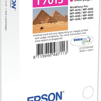 Epson T7013 Γνήσιο Μελάνι Εκτυπωτή InkJet Ματζέντα (C13T70134010)