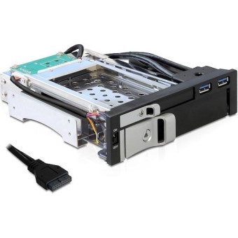DeLock 5.25 Frame for 1 x 2.5 plus 1 x 3.5 SATA 2x USB 3.2 Μαύρο 47209