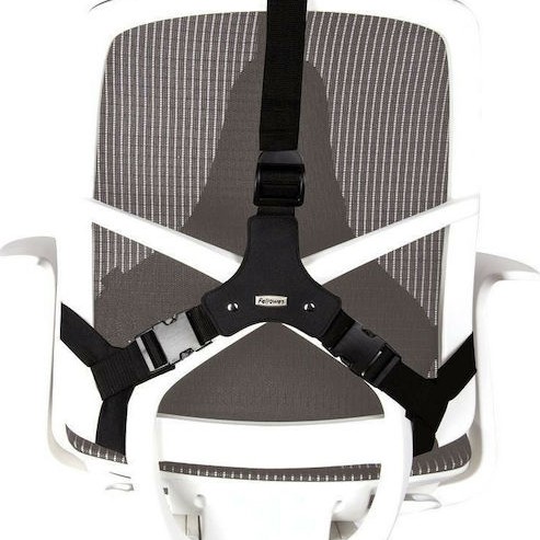 Fellowes Professional Series Ultimate Μαξιλάρι Πλάτης σε Μαύρο χρώμα 8041801