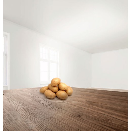 Bosch Δίσκος Κοπής για Κουζινομηχανή