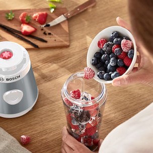 Bosch Serie 2 Personal Μπλέντερ με Κανάτα Tritan 600 ml 450W Ασημί