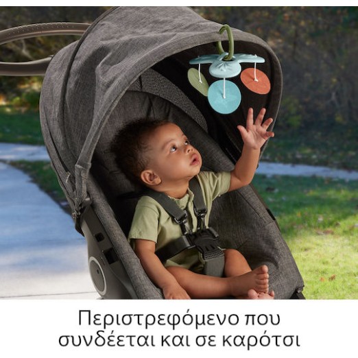 Fisher Price Γυμναστήριο Δραστηριοτήτων Πολύχρωμο για Νεογέννητα (MxΠ) 57x41cm