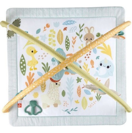 Fisher Price Γυμναστήριο Δραστηριοτήτων Πολύχρωμο για Νεογέννητα (MxΠ) 57x41cm