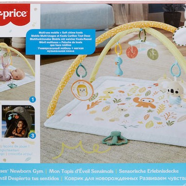 Fisher Price Γυμναστήριο Δραστηριοτήτων Πολύχρωμο για Νεογέννητα (MxΠ) 57x41cm