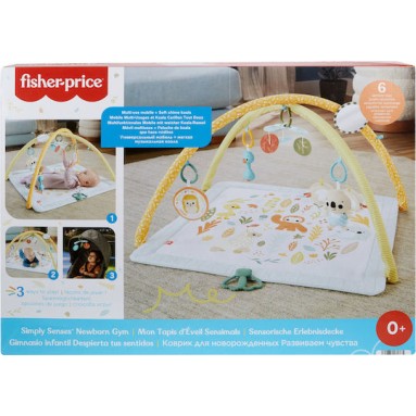 Fisher Price Γυμναστήριο Δραστηριοτήτων Πολύχρωμο για Νεογέννητα (MxΠ) 57x41cm
