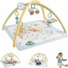 Fisher Price Γυμναστήριο Δραστηριοτήτων Πολύχρωμο για Νεογέννητα (MxΠ) 57x41cm