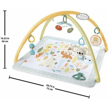Fisher Price Γυμναστήριο Δραστηριοτήτων Πολύχρωμο για Νεογέννητα (MxΠ) 57x41cm