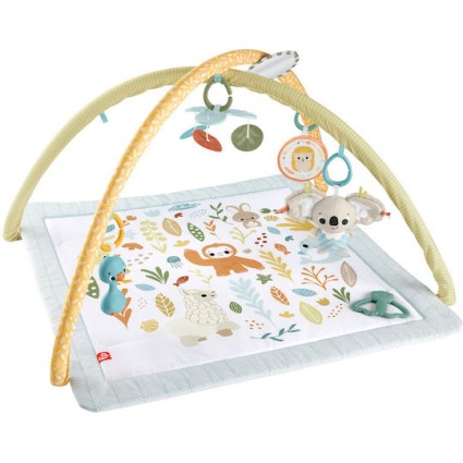 Fisher Price Γυμναστήριο Δραστηριοτήτων Πολύχρωμο για Νεογέννητα (MxΠ) 57x41cm