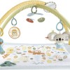 Fisher Price Γυμναστήριο Δραστηριοτήτων Πολύχρωμο για Νεογέννητα (MxΠ) 57x41cm