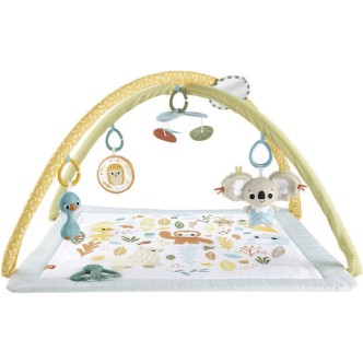 Fisher Price Γυμναστήριο Δραστηριοτήτων Πολύχρωμο για Νεογέννητα (MxΠ) 57x41cm