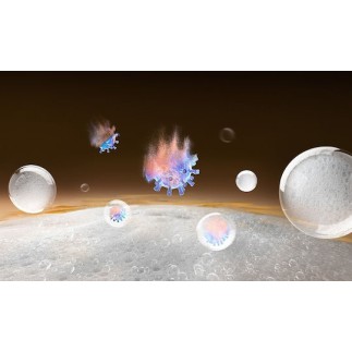 Dreame Επαναφορτιζόμενη Σκούπα Stick 21.6V Μαύρη 2102278