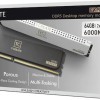 TeamGroup Expert DDR5 64GB RAM με 2x32GB Modules και Ταχύτητα 6000 για Desktop