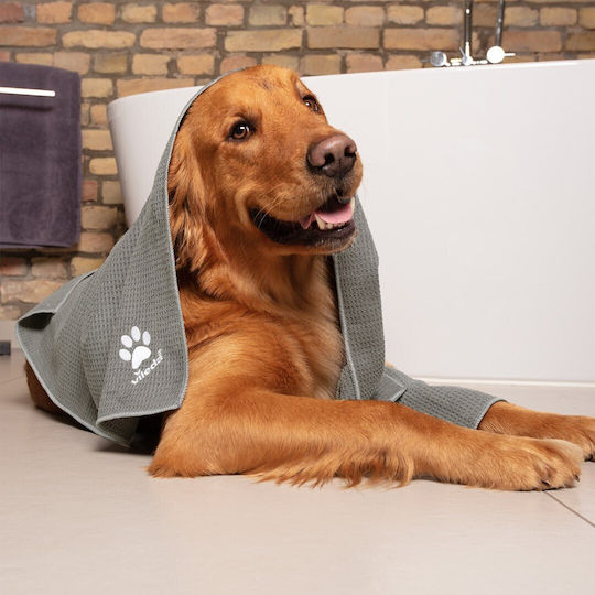 Vileda Πετσέτα Σκύλου Γκρι 45x70cm