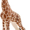 Schleich-S Παιχνίδι Μινιατούρα Wild Life Baby Giraffe για 3+ Ετών 9εκ.