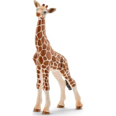 Schleich-S Παιχνίδι Μινιατούρα Wild Life Baby Giraffe για 3+ Ετών 9εκ.