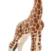 Schleich-S Παιχνίδι Μινιατούρα Wild Life Baby Giraffe για 3+ Ετών 9εκ.