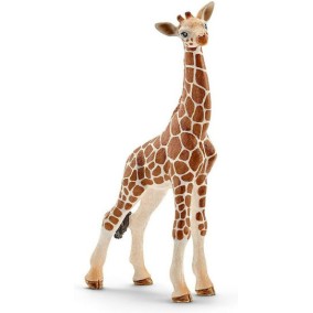 Schleich-S Παιχνίδι Μινιατούρα Wild Life Baby Giraffe για 3+ Ετών 9εκ.